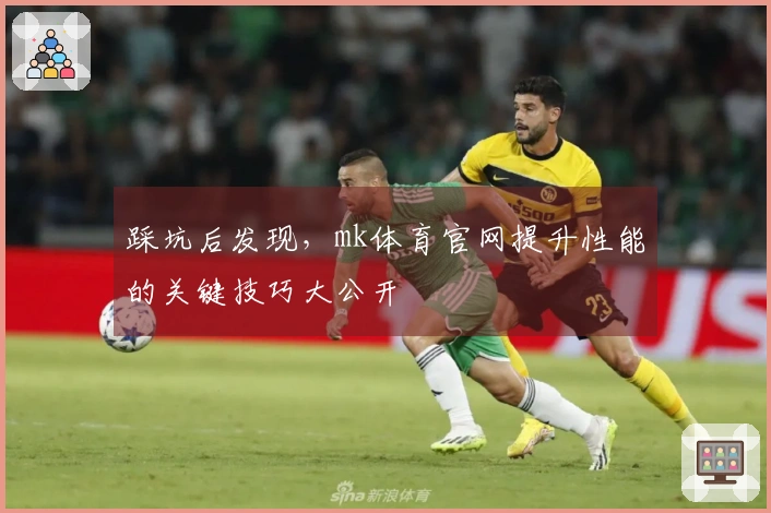 踩坑后发现，mk体育官网提升性能的关键技巧大公开