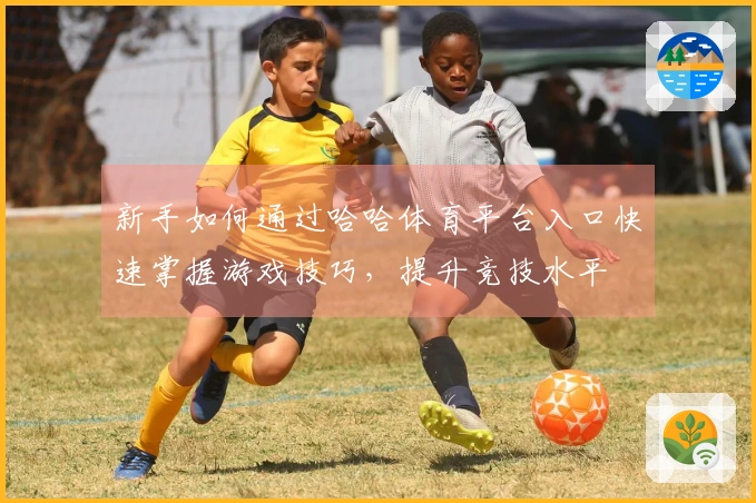 新手如何通过哈哈体育平台入口快速掌握游戏技巧，提升竞技水平