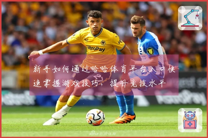 新手如何通过哈哈体育平台入口快速掌握游戏技巧，提升竞技水平